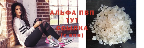 индика Арсеньев