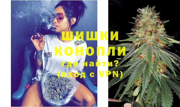 сатива Аркадак