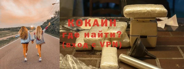 индика Арсеньев
