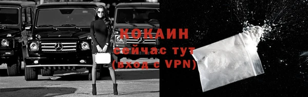 сатива Аркадак
