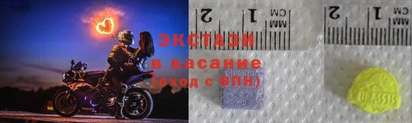 сатива Аркадак