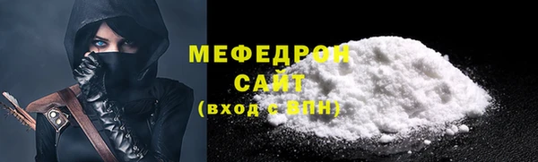 индика Арсеньев