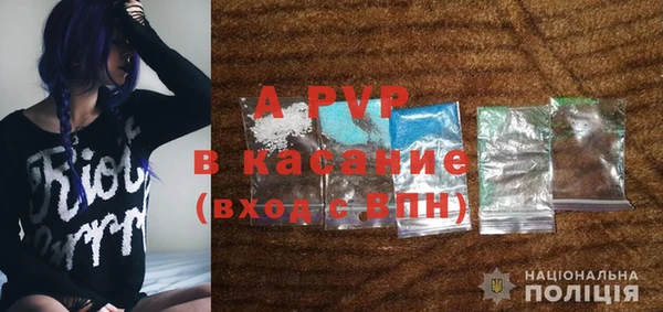 индика Арсеньев