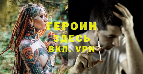 индика Арсеньев