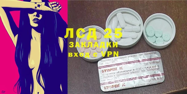 сатива Аркадак
