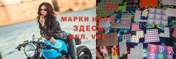 индика Арсеньев