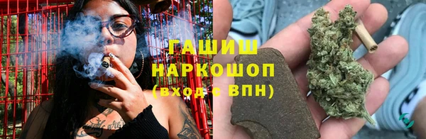 сатива Аркадак